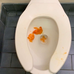MikeTheRoofer69's Avatar'
