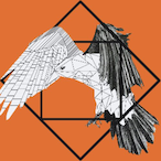 RAVEN_LEONB's Avatar'