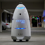 literalbot's Avatar'