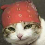 Mei_Wakeup's Avatar'