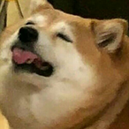 NklasZ's Avatar'