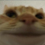 xveuwu's Avatar'