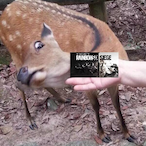 TightHoles1's Avatar'