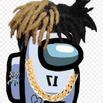 SusAmongUsSus's Avatar'