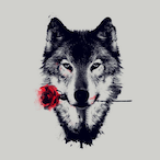 Lone.Wolf.'s Avatar'