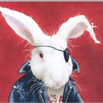 supersteen71's Avatar'