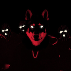 ben-zocker2's Avatar'