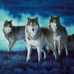 DARKWOLF-935's Avatar'