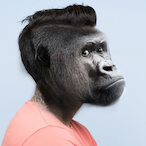 Monk3y_Man25's Avatar'