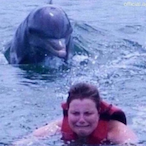Admira1Dolphin's Avatar'