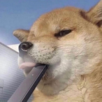 backbone1738's Avatar'