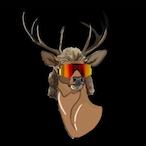 VinnyBag's Avatar'