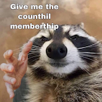 RaccoonFromHell's Avatar'