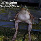 chongle.exe's Avatar'