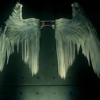 TwitterWalnut1x's Avatar'