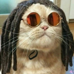 Ko4ePbILLIKa's Avatar'
