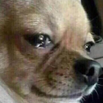 C.openhagen's Avatar'