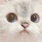 Sosooyuh's Avatar'