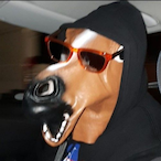 FGT_S1MP's Avatar'