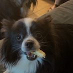 Cursed_Kurby's Avatar'