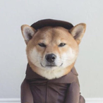 GhostsZQ's Avatar'