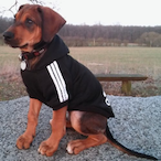 Karl-Heinz__'s Avatar'
