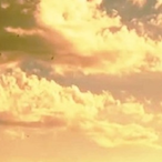 Lacrimosa23's Avatar'