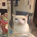 TigerJoe_'s Avatar'