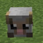 CityCrafter's Avatar'