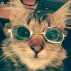 Useless_Dude_'s Avatar'