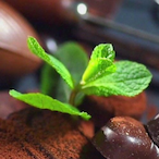 B1Gbootyash's Avatar'