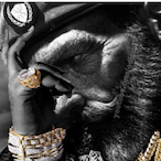 llllIlllIlIlIl's Avatar'