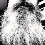 BeebeGuns3018's Avatar'