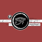 Musr8-_-TwitcH's Avatar'