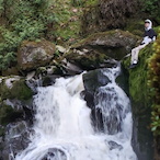 Rockachu12's Avatar'