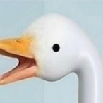 CrypticMerchant's Avatar'