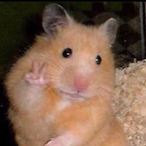 PistacchioMuniiZ's Avatar'