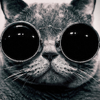 Mcbreezy_'s Avatar'