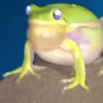 XQzmeh's Avatar'