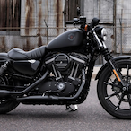 Giggazaddy2's Avatar'