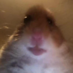 BEN.glhf's Avatar'