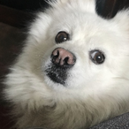 WhiteHairBall's Avatar'