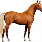 Chevales's Avatar'