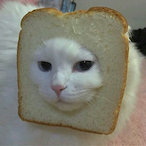 koveymarie's Avatar'