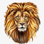 Xavorey's Avatar'