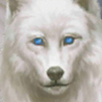 w9_AdrianWan's Avatar'