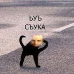 De.W.o.l.f.f's Avatar'