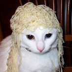 CatOnACactus's Avatar'