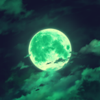 AM_GyN-'s Avatar'