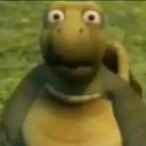 bpdageplayer's Avatar'